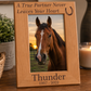Personalized Horse Memorial Frame | Custom Horse Photo Frame | Horse Loss Gift | Engraved Horse Keepsake